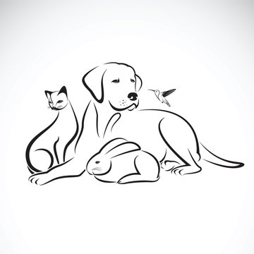 Vector group of pets on white background.  Dog, Cat, Humming bir
