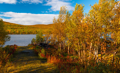 Panele Szklane Podświetlane  Kolorowa jesień w Skandynawii