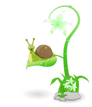 cute cartoon snail smiling above leaf on white background