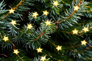 star lights in Christmas tree