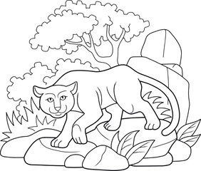Fototapeta premium panther sneaks in the jungle