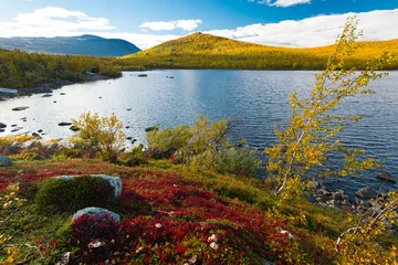 Foto auf Alu-Dibond Colorful Autumn in Scandinavia © Markus
