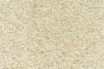 Bolotti rice background
