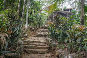 The stairs to the House among the Jungle.