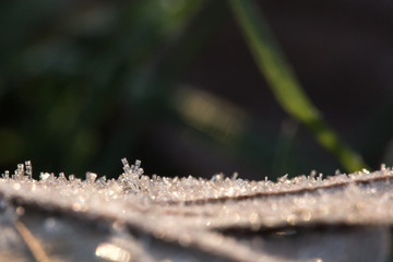Frost Crystals