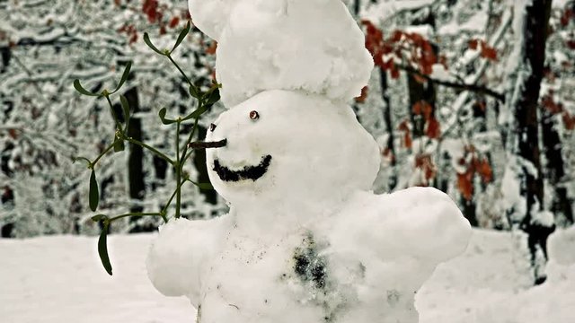 Happy snowman with mistletoe stands in snowy forest