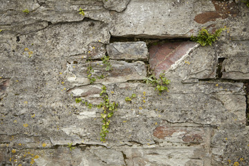 A page full of crumbling stone garden wall background texture