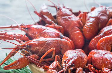 Bowl of boiled crayfish on the wooden table