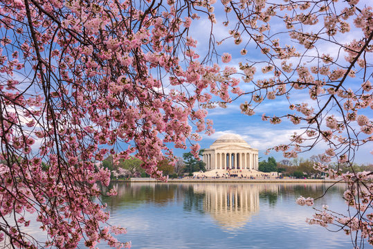 Washington DC in Spring