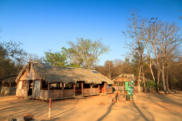 Campsite in the dry forest of Kirindy Mitea National Park in Madagascar