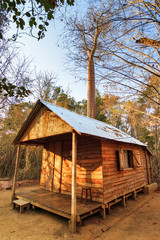 Cabin in the dry forest of Kirindy Mitea National Park, in Madagascar