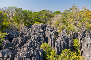 Beautiful view on the unique geography at the Tsingy de Bemaraha Strict Nature Reserve in Madagascar