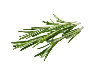 Fototapeta premium Rozmaryn na białym tle