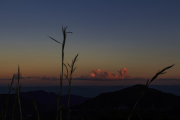Fototapeta premium The red cloud in sunset.