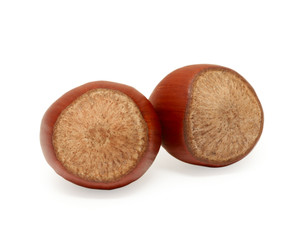 Hazelnut isolated on white background