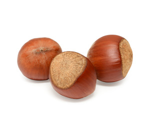 Hazelnut isolated on white background