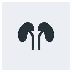 Kidney icon