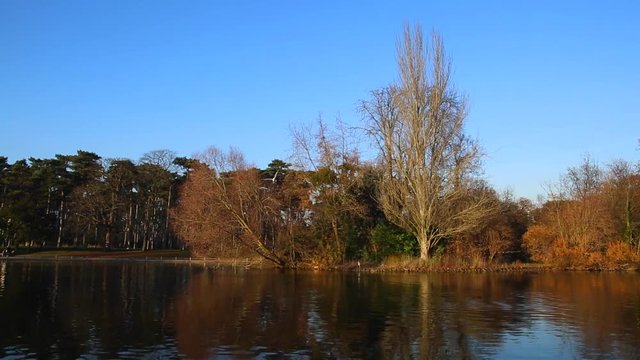 Oiseaux sur lac Bois de Boulogne