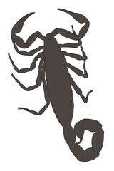 2d cartoon illustration of scorpion