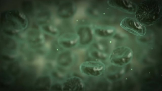 Green illness blood cell flowing in vein or artery in medical zoom. 3d render HD footage. Healthcare and medical concept. Alpha matte channel included.