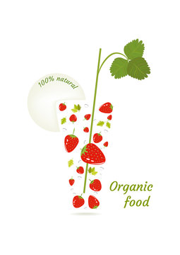 Organic food vector illustration. Vector illustration with berry cocktail.