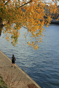 Jogging en automne sur les quais de la Seine &agrave; paris, France