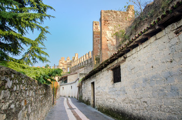 Fototapeta na wymiar typical alley in the Lazise veneto Italian medieval town