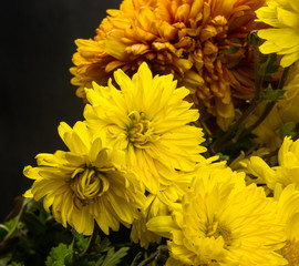 bouquet of colorful autumn flowers