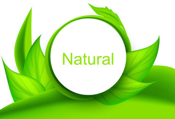 Natural vector background with green leaves
