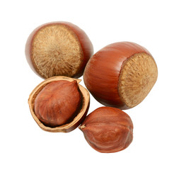 Hazelnut isolated on white background
