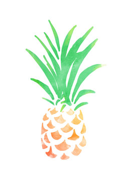 Pineapple,hand drawn and watercolor.