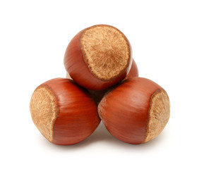 Hazelnut isolated on white background