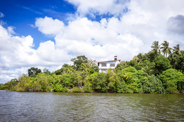 Fototapeta na wymiar Дом у реки среди джунглей.