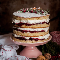 Christmas Layered Cake with Raspberry Jam and Whipped Cream