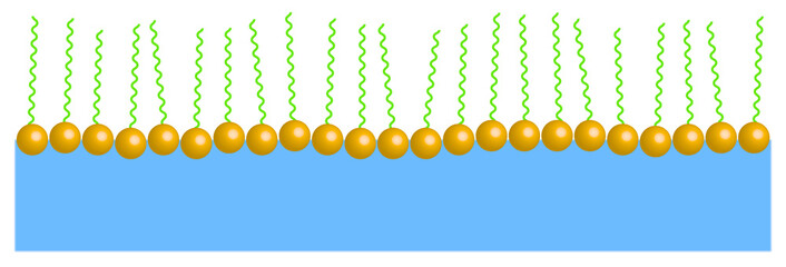 Tensid Monoschicht auf Grenzfläche © natros