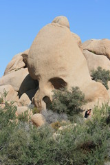 Skull rock joshua tree national park