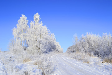 Beautiful winter landscape. Trees covered with snow, road and cl