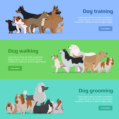 Dog Training, Walking, Grooming Banners Set