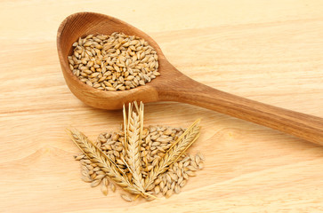 Barley grains and wooden spoon