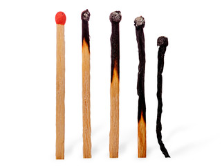 Closeup of several burnt matches