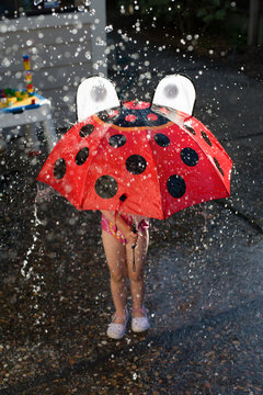  Ladybug umbrella in the rain