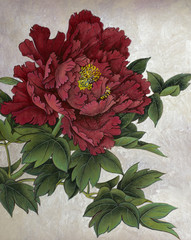 red peony on a silver background