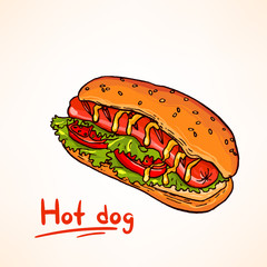 Tasty and colorful hand drawn vector illustration of hot dog. Fa