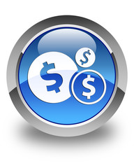 Finances (dollar sign) icon glossy blue round button