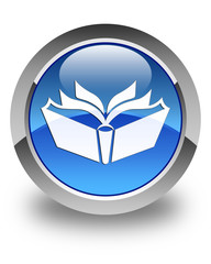Translation icon glossy blue round button