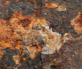 Real rust. Macro (shallow DOF)