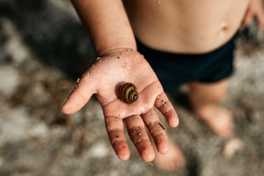 Little boy 3-4 years in swimming shorts on the beach, shows a shell on his palm. Cropped image, blurred background