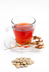 St. John's wort tea on white background