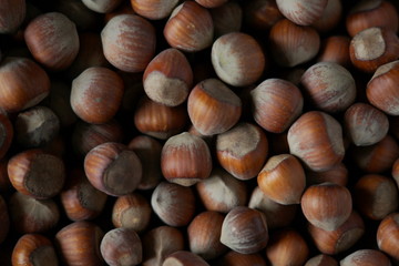 hazelnuts background