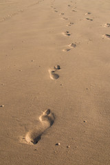 Footprints in the sand